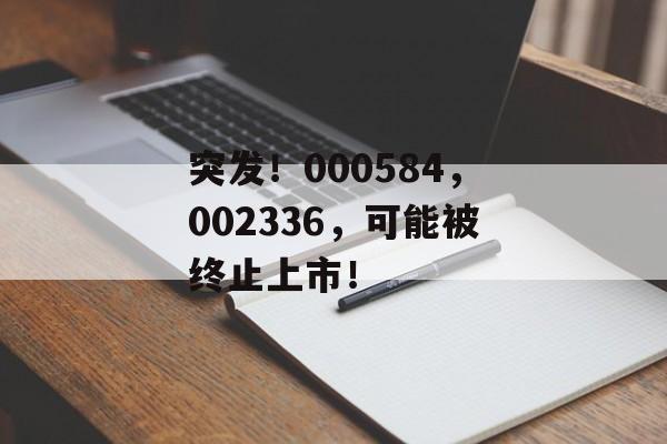 突发！000584，002336，可能被终止上市！-第1张图片-
