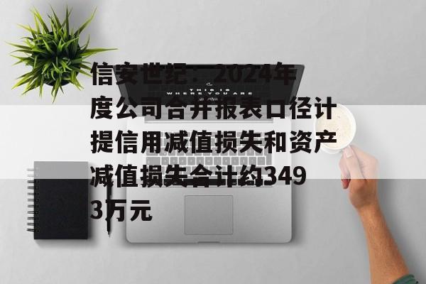 信安世纪：2024年度公司合并报表口径计提信用减值损失和资产减值损失合计约3493万元-第1张图片-