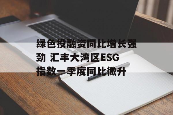绿色投融资同比增长强劲 汇丰大湾区ESG指数一季度同比微升-第1张图片-
