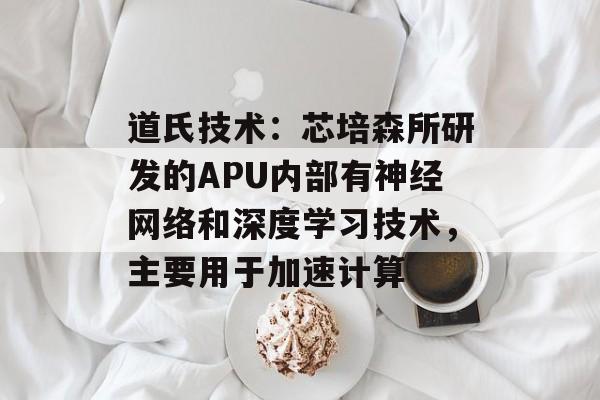 道氏技术：芯培森所研发的APU内部有神经网络和深度学习技术，主要用于加速计算-第1张图片-
