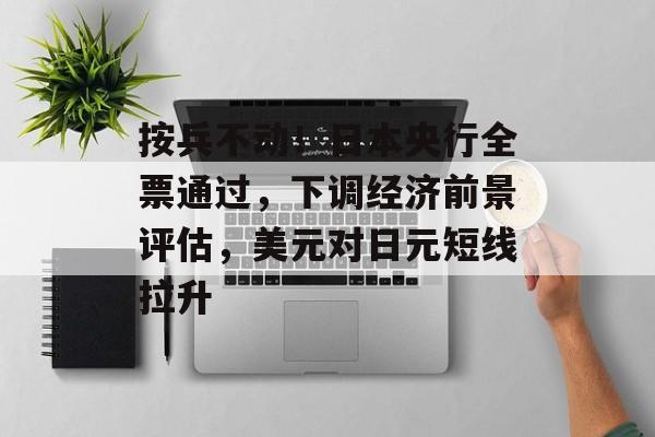 按兵不动！日本央行全票通过，下调经济前景评估，美元对日元短线拉升-第1张图片-