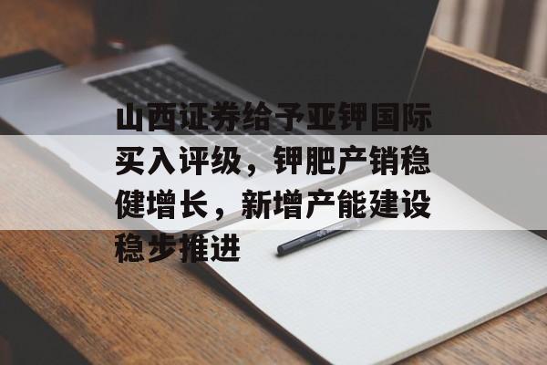 山西证券给予亚钾国际买入评级，钾肥产销稳健增长，新增产能建设稳步推进-第1张图片-