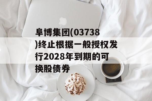 阜博集团(03738)终止根据一般授权发行2028年到期的可换股债券-第1张图片-