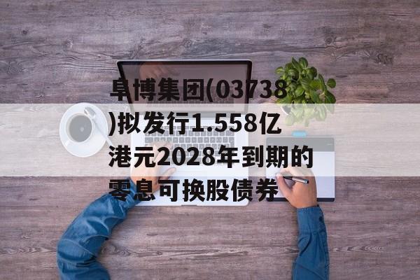 阜博集团(03738)拟发行1.558亿港元2028年到期的零息可换股债券-第1张图片-
