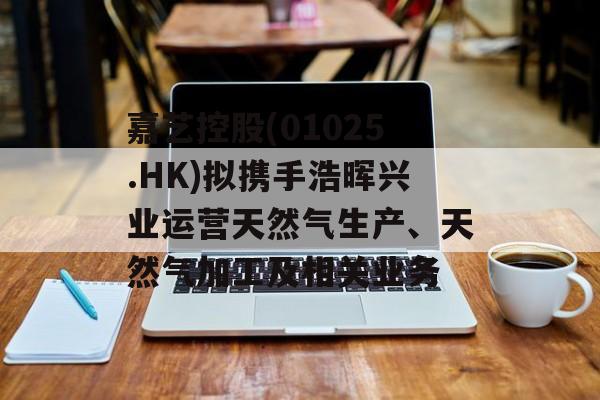 嘉艺控股(01025.HK)拟携手浩晖兴业运营天然气生产、天然气加工及相关业务-第1张图片-