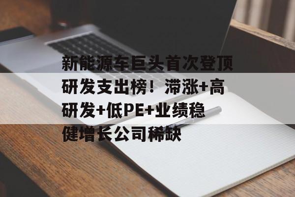 新能源车巨头首次登顶研发支出榜！滞涨+高研发+低PE+业绩稳健增长公司稀缺-第1张图片-