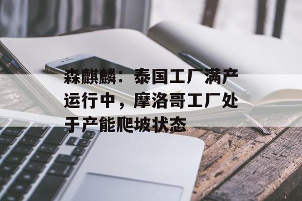 森麒麟：泰国工厂满产运行中，摩洛哥工厂处于产能爬坡状态-第1张图片-