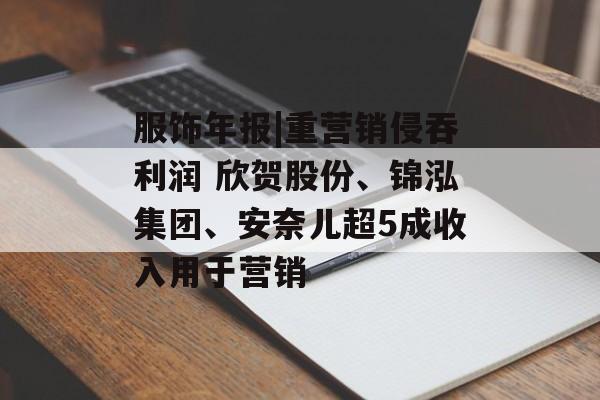 服饰年报|重营销侵吞利润 欣贺股份、锦泓集团、安奈儿超5成收入用于营销-第1张图片-