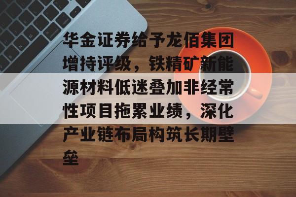 华金证券给予龙佰集团增持评级，铁精矿新能源材料低迷叠加非经常性项目拖累业绩，深化产业链布局构筑长期壁垒-第1张图片-