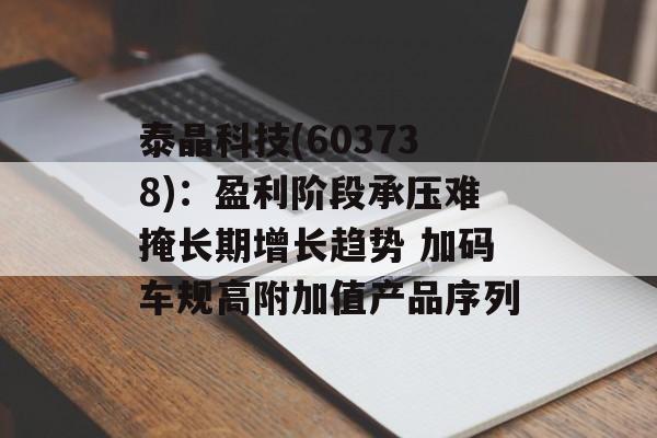 泰晶科技(603738)：盈利阶段承压难掩长期增长趋势 加码车规高附加值产品序列-第1张图片-
