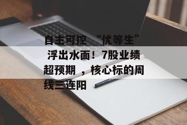 自主可控 “优等生” 浮出水面！7股业绩超预期 ，核心标的周线三连阳-第1张图片-