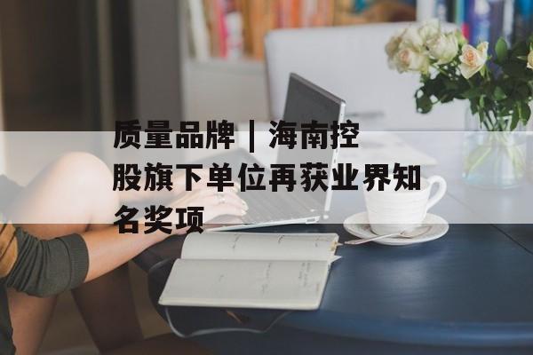 质量品牌 | 海南控股旗下单位再获业界知名奖项-第1张图片-