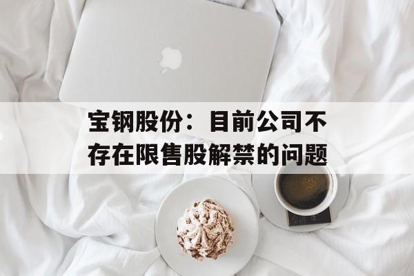 宝钢股份：目前公司不存在限售股解禁的问题-第1张图片-