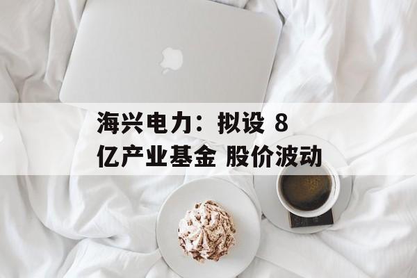 海兴电力：拟设 8 亿产业基金 股价波动-第1张图片-