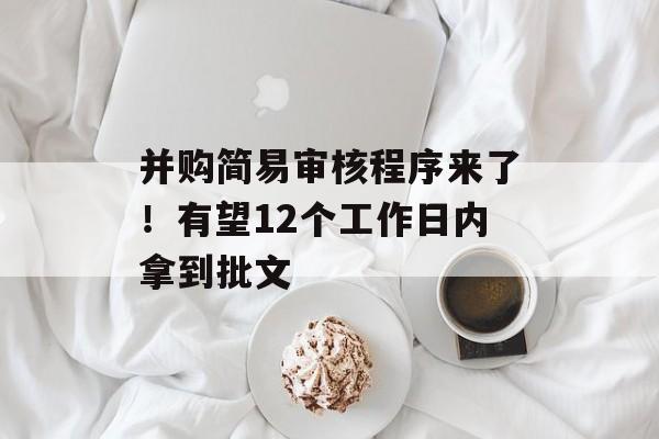 并购简易审核程序来了！有望12个工作日内拿到批文-第1张图片-