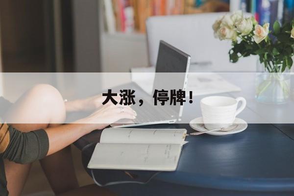 大涨，停牌！-第1张图片-