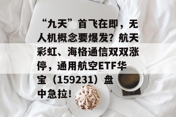 “九天”首飞在即，无人机概念要爆发？航天彩虹、海格通信双双涨停，通用航空ETF华宝（159231）盘中急拉！-第1张图片-