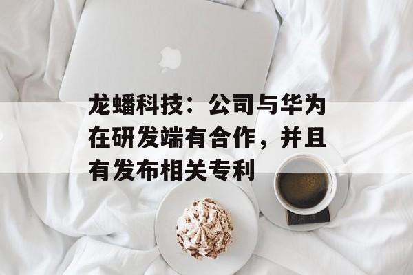 龙蟠科技：公司与华为在研发端有合作，并且有发布相关专利-第1张图片-