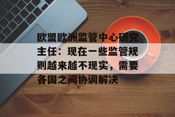 欧盟欧洲监管中心研究主任：现在一些监管规则越来越不现实，需要各国之间协调解决-第1张图片-
