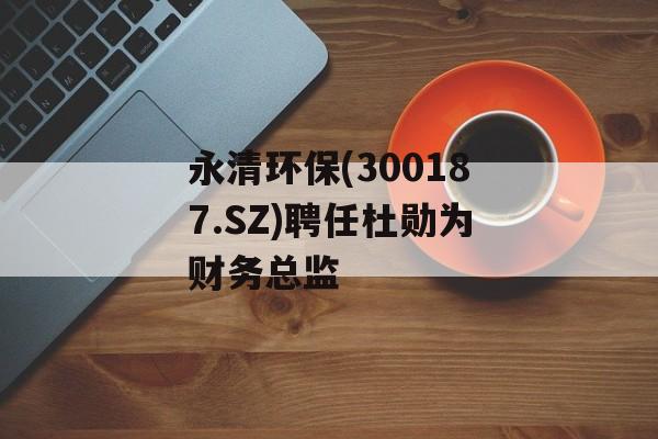 永清环保(300187.SZ)聘任杜勋为财务总监-第1张图片-
