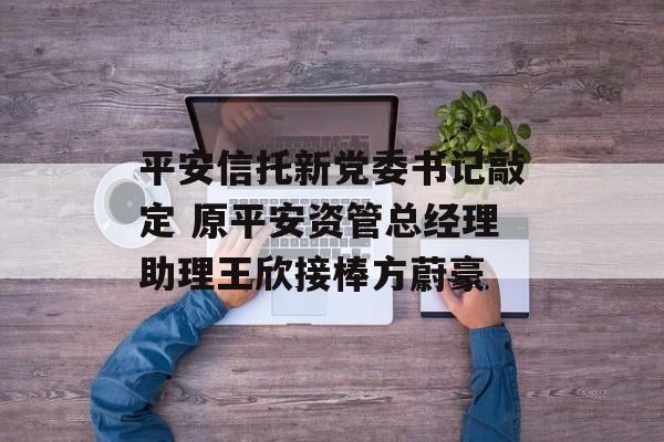 平安信托新党委书记敲定 原平安资管总经理助理王欣接棒方蔚豪-第1张图片-