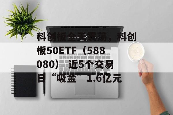 科创板全天震荡，科创板50ETF（588080） 近5个交易日“吸金”1.6亿元-第1张图片-