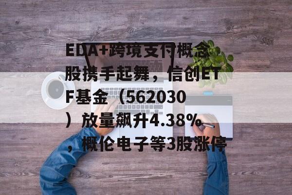EDA+跨境支付概念股携手起舞，信创ETF基金（562030）放量飙升4.38%，概伦电子等3股涨停-第1张图片-