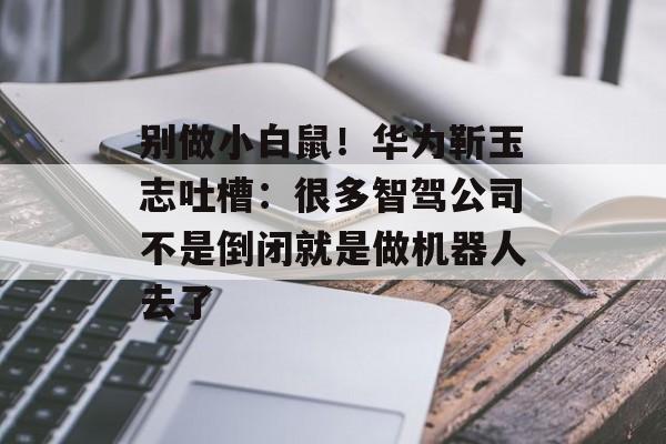 别做小白鼠！华为靳玉志吐槽：很多智驾公司不是倒闭就是做机器人去了-第1张图片-