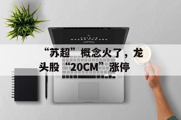 “苏超”概念火了，龙头股“20CM”涨停-第1张图片-