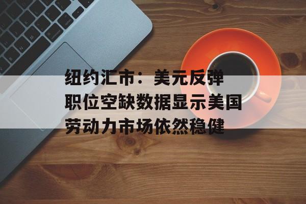 纽约汇市：美元反弹 职位空缺数据显示美国劳动力市场依然稳健-第1张图片-