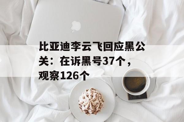比亚迪李云飞回应黑公关：在诉黑号37个，观察126个-第1张图片-