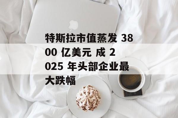 特斯拉市值蒸发 3800 亿美元 成 2025 年头部企业最大跌幅-第1张图片-