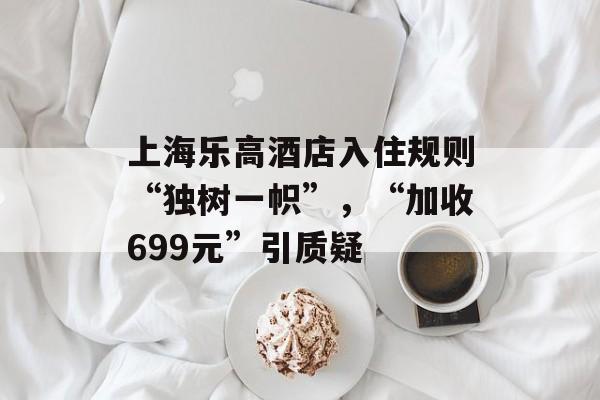 上海乐高酒店入住规则“独树一帜”，“加收699元”引质疑-第1张图片-