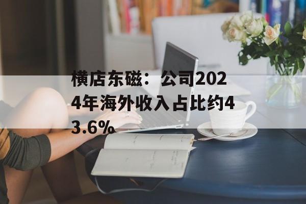 横店东磁：公司2024年海外收入占比约43.6%-第1张图片-
