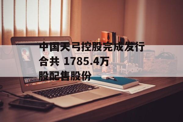 中国天弓控股完成发行合共 1785.4万股配售股份-第1张图片-