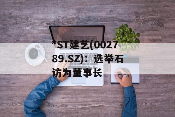 *ST建艺(002789.SZ)：选举石访为董事长-第1张图片-