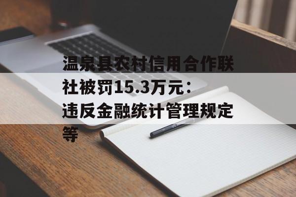 温泉县农村信用合作联社被罚15.3万元：违反金融统计管理规定等-第1张图片-