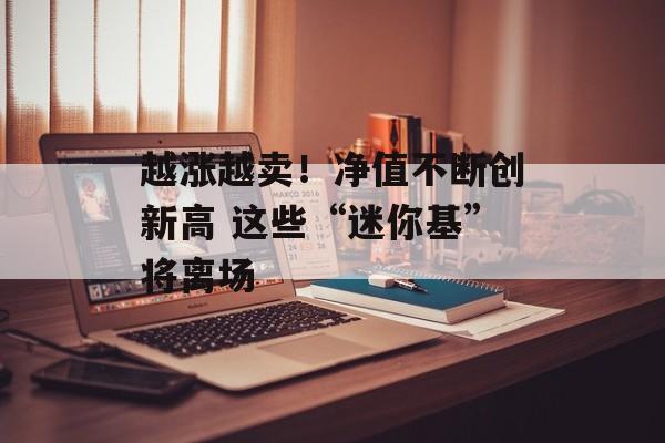 越涨越卖！净值不断创新高 这些“迷你基”将离场-第1张图片-