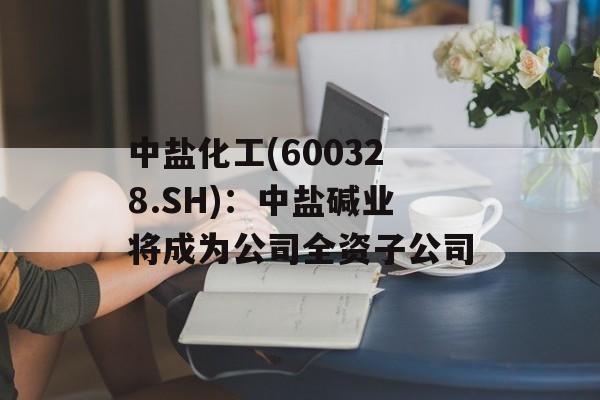 中盐化工(600328.SH)：中盐碱业将成为公司全资子公司-第1张图片-