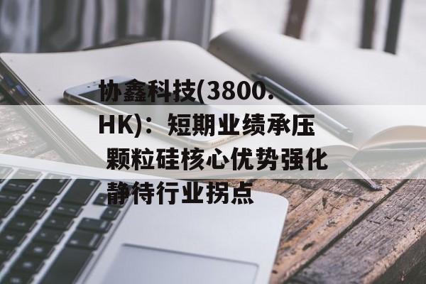 协鑫科技(3800.HK)：短期业绩承压 颗粒硅核心优势强化 静待行业拐点-第1张图片-