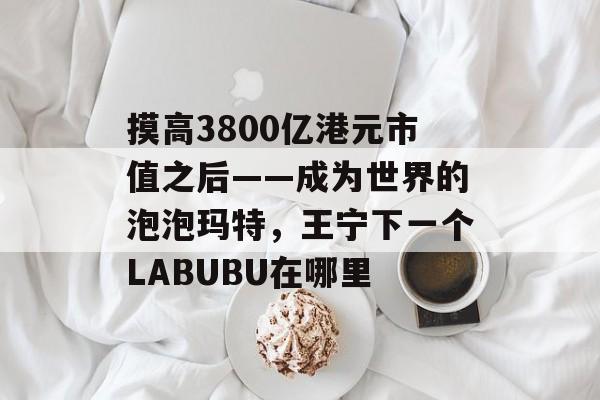 摸高3800亿港元市值之后——成为世界的泡泡玛特，王宁下一个LABUBU在哪里-第1张图片-
