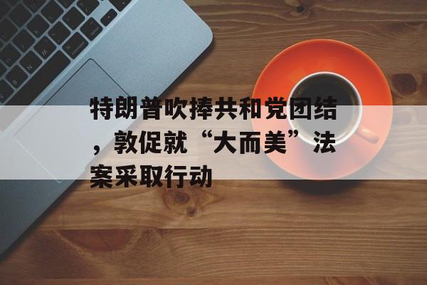 特朗普吹捧共和党团结，敦促就“大而美”法案采取行动-第1张图片-
