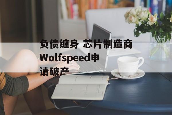 负债缠身 芯片制造商Wolfspeed申请破产-第1张图片-
