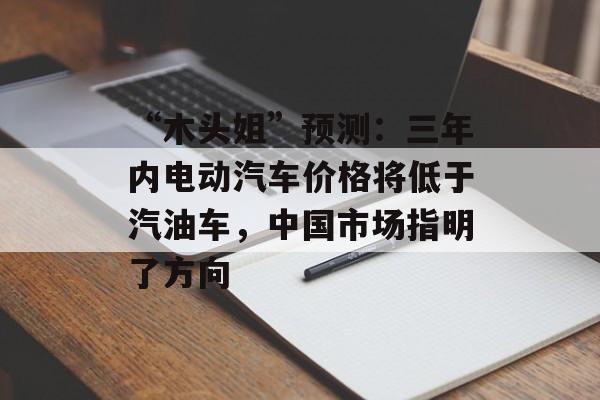 “木头姐”预测：三年内电动汽车价格将低于汽油车，中国市场指明了方向-第1张图片-
