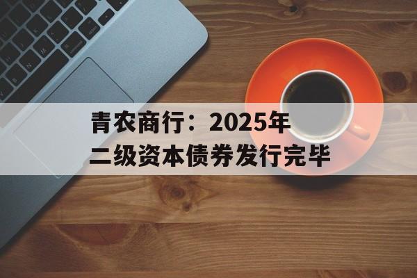 青农商行：2025年二级资本债券发行完毕-第1张图片-