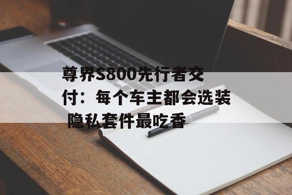 尊界S800先行者交付：每个车主都会选装 隐私套件最吃香-第1张图片-