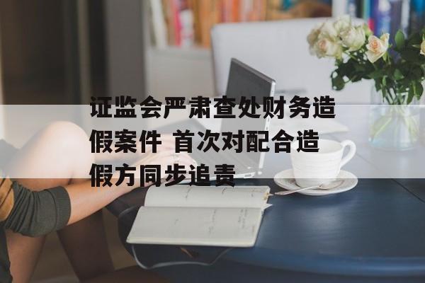 证监会严肃查处财务造假案件 首次对配合造假方同步追责-第1张图片-