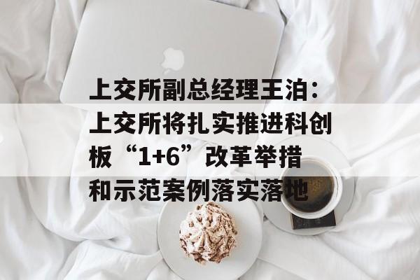 上交所副总经理王泊：上交所将扎实推进科创板“1+6”改革举措和示范案例落实落地-第1张图片-