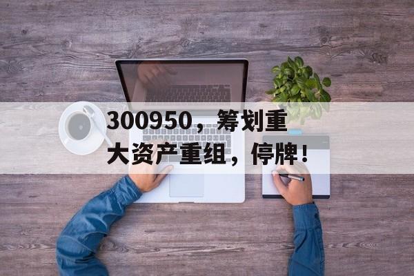 300950，筹划重大资产重组，停牌！-第1张图片-