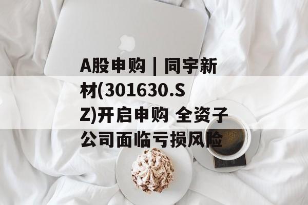 A股申购 | 同宇新材(301630.SZ)开启申购 全资子公司面临亏损风险-第1张图片-